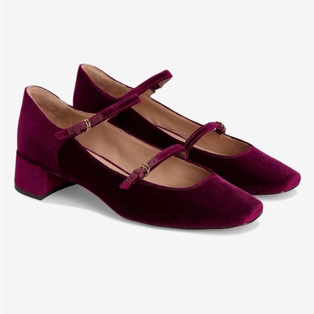 NWT Elegant Velvet Mary Jane Shoes Burgundy Cole Haan Paxton Maryjane Pump Wine